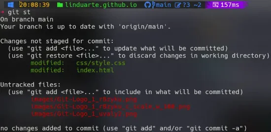Terminal operacional Git bash